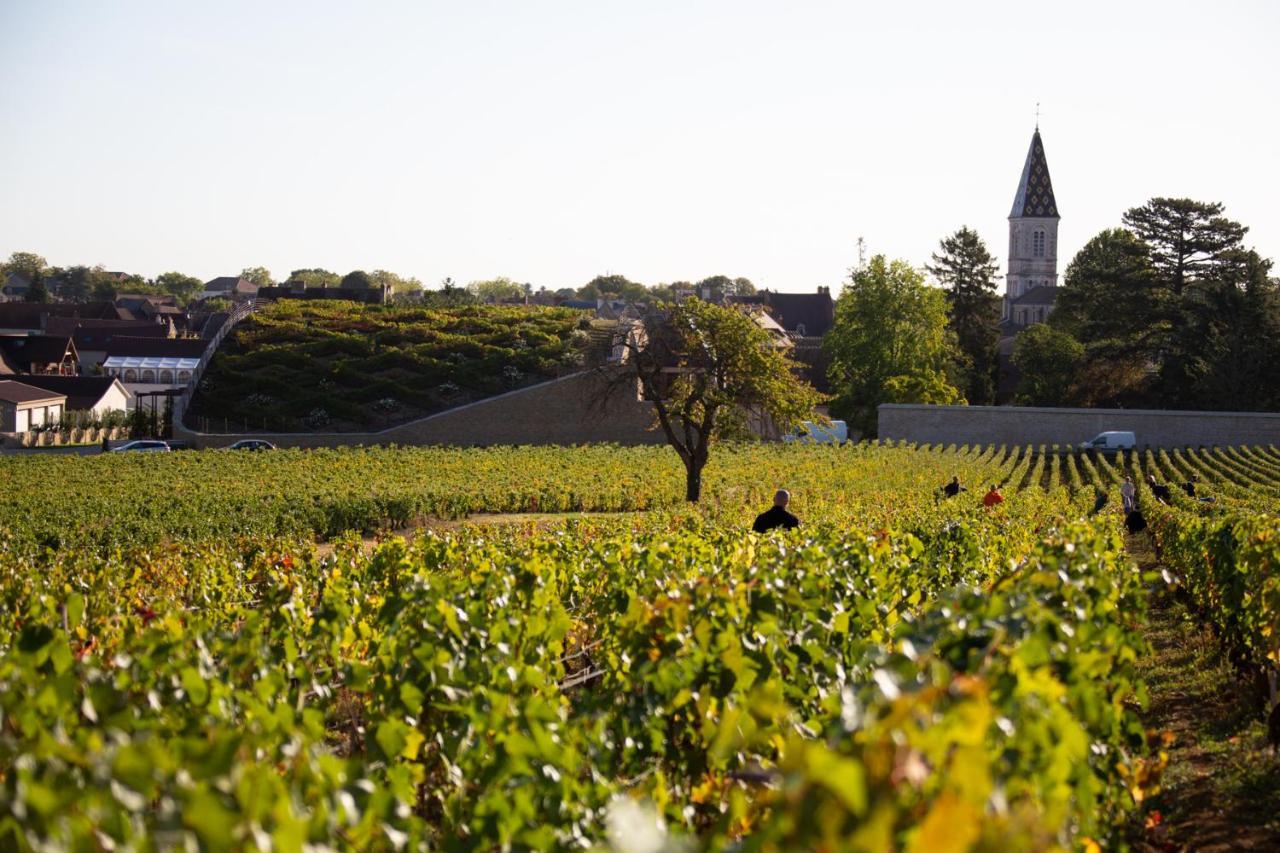 Vila La Maison D'Eva. Maison Avec Climatisation. Nuits-Saint-Georges Exteriér fotografie